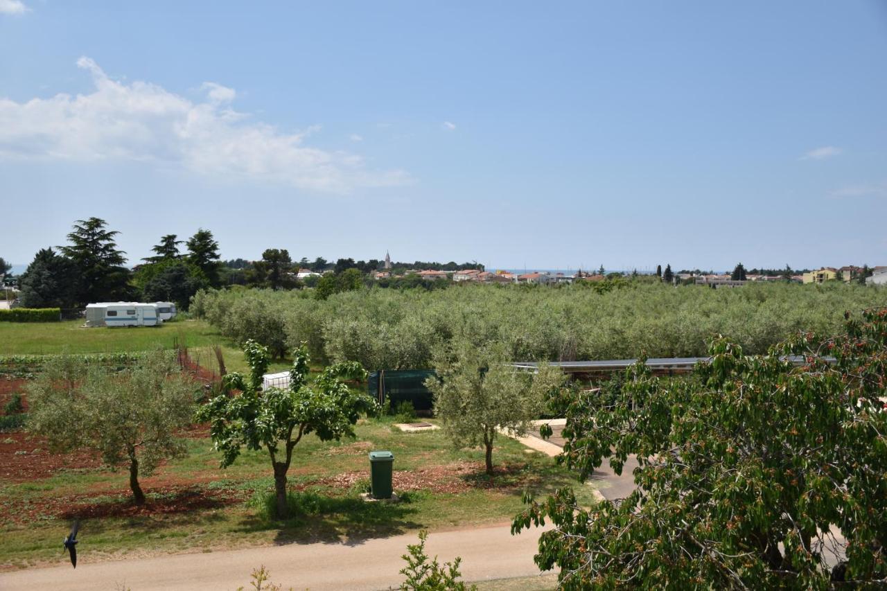 Apartmani Diana Novigrad Istria Exterior foto